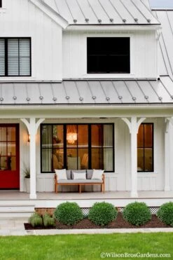 Korean Dwarf Boxwood - Buxus Sinica Var. Insularis 'Nana' - 1 Gallon Pot 11 Korean Dwarf Boxwood - Buxus Sinica Var. Insularis 'Nana' - 1 Gallon Pot -Garden Outdoor Plant Store Boxwood Korean Dwarf Insularis Nana 4 1