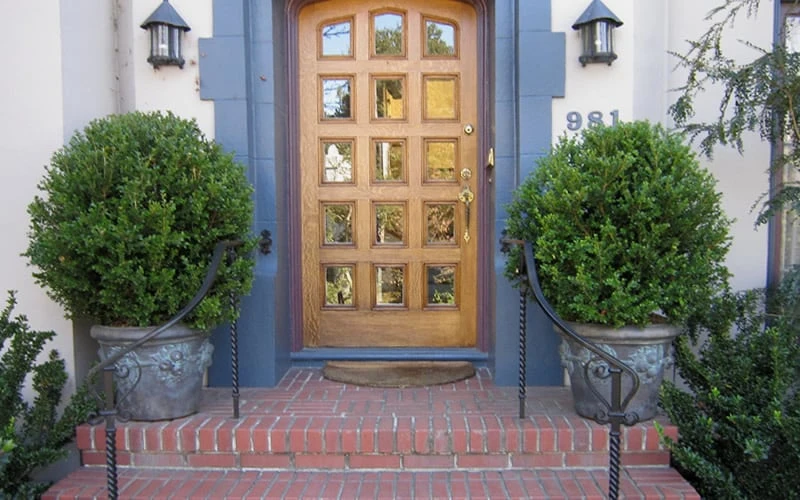 Wintergreen Boxwood - 6 Pack Of 1 Gallon Pots 7 Wintergreen Boxwood - 6 Pack Of 1 Gallon Pots - Image 5