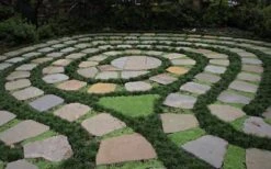 Kyoto Super Dwarf Mondo Grass - 3 Pack Of Pint Pots 11 Kyoto Super Dwarf Mondo Grass - 3 Pack Of Pint Pots -Garden Outdoor Plant Store Grass Mondo Super Dwarf 2