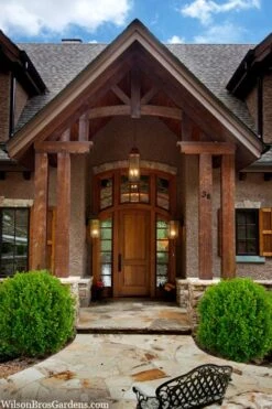 Winterstar Boxwood - 2 Gallon Pot 11 Winterstar Boxwood - 2 Gallon Pot -Garden Outdoor Plant Store buxus winterstar boxwood 3