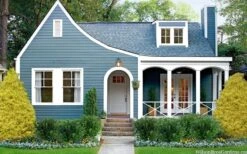 Gold Mop Threadleaf Cypress - 3 Gallon Pot 13 Gold Mop Threadleaf Cypress - 3 Gallon Pot -Garden Outdoor Plant Store chamaecyparis pisifera gold mop cypress 105