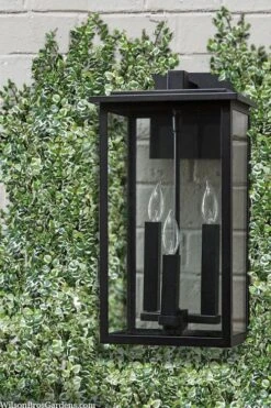 Variegated Creeping Fig - Ficus Pumila 'Variegata' - 6 Pack Of Pint Pots -Garden Outdoor Plant Store ficus pumila variegata creeping fig 102