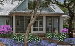 Snow Globe Gardenia - 3 Gallon Pot -Garden Outdoor Plant Store gardenia jasminoides snow globe 2 1