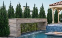 Spartan Juniper - 1 Gallon Pot 11 Spartan Juniper - 1 Gallon Pot -Garden Outdoor Plant Store juniperus chinensis spartan columnar juniper 40 1