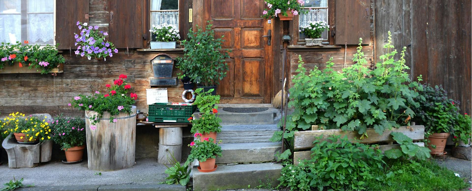 Garden Outdoor Plant Store -Garden Outdoor Plant Store pexels pixabay 159869